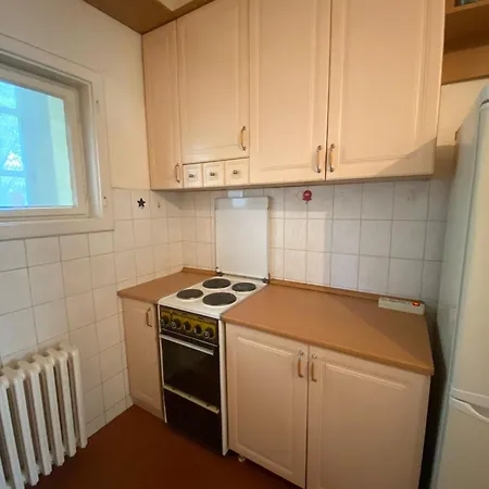 Downtown Flat